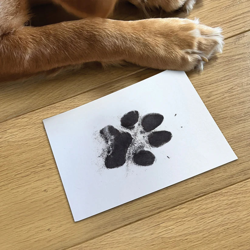 Our Family Prints – Finger & Paw Print Frame Kit