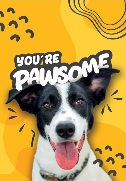 You're Pawsome!