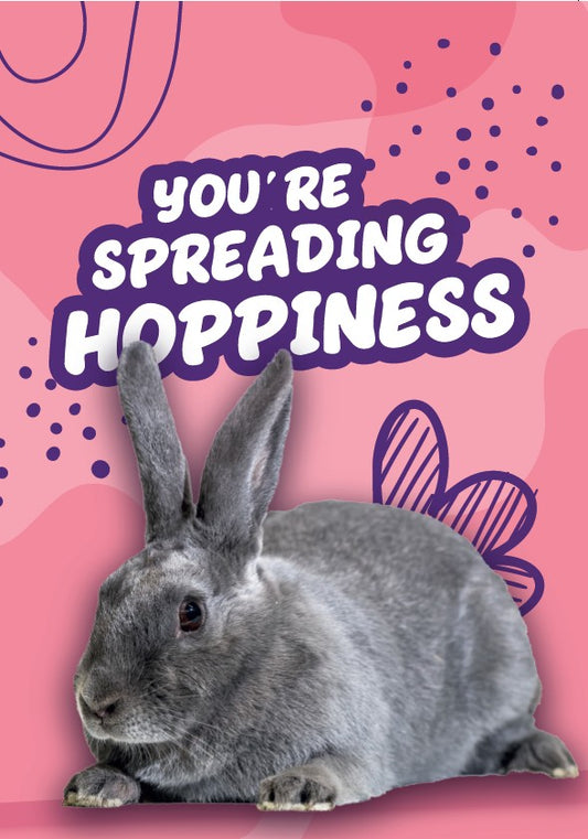 You're Spreading Hoppiness