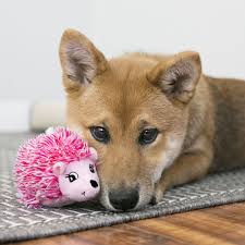 KONG Comfort Hedgehog Puppy (XS)