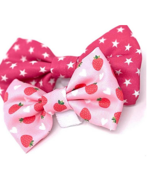 Lucy & Bear Bows