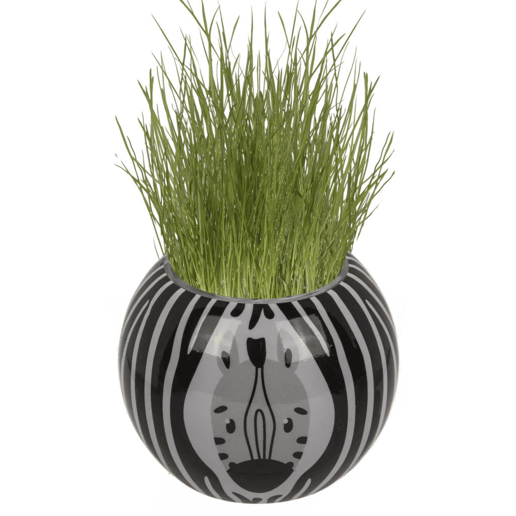 Safari Grasshead 6.5CM