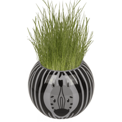 Safari Grasshead 6.5CM