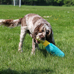Pawty Time Champagne Plush Toy