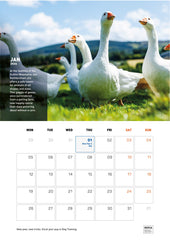 Irish Happy Tails Calendar 2026
