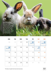 Irish Happy Tails Calendar 2026
