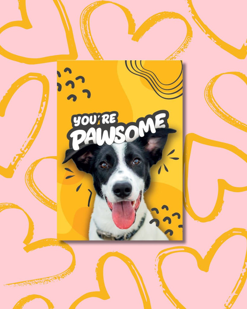 You're Pawsome!