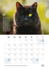 Irish Happy Tails Calendar 2026