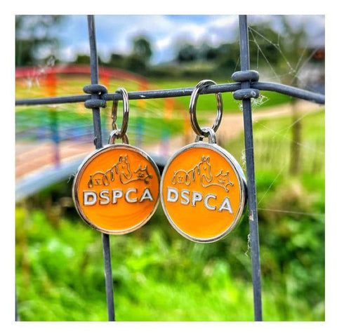Boardwalk Dog Tag