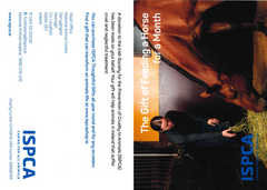 The Gift of Feeding a Horse for a Month