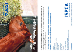 The Gift of Feeding a Horse for a Month