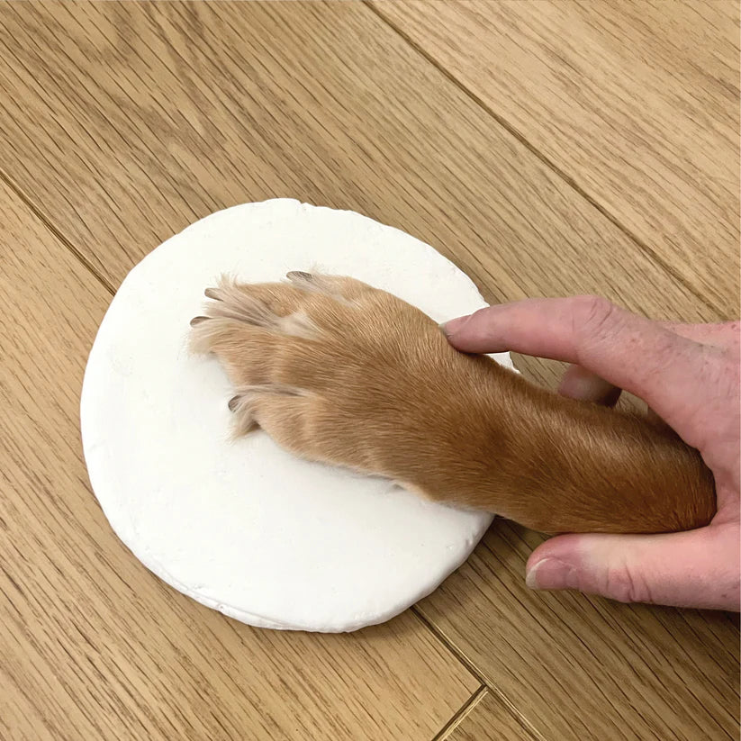 Paws in Time – Clay Paw Print Keepsake Kit
