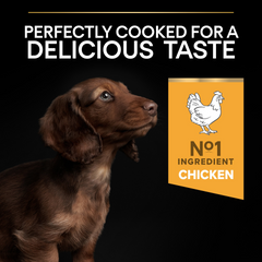 PRO PLAN Small & Mini Puppy Healthy Start - Chicken (3kg)