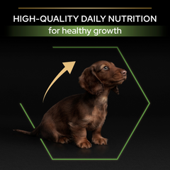 PRO PLAN Small & Mini Puppy Healthy Start - Chicken (3kg)
