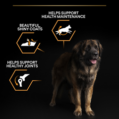 PRO PLAN Large Robust Adult Dog Everyday Nutrition – Chicken (14kg)