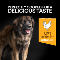 PRO PLAN Large Robust Adult Dog Everyday Nutrition – Chicken (14kg)
