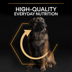 PRO PLAN Large Robust Adult Dog Everyday Nutrition – Chicken (14kg)
