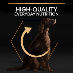 PRO PLAN Large Athletic Adult Everyday Nutrition – Chicken (14kg)