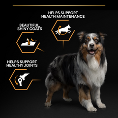PRO PLAN Medium Adult Dog Everyday Nutrition – Chicken (14kg)