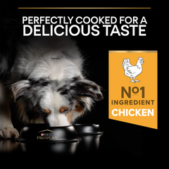 PRO PLAN Medium Adult Dog Everyday Nutrition – Chicken (14kg)