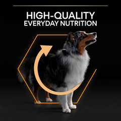 PRO PLAN Medium Adult Dog Everyday Nutrition – Chicken (14kg)