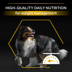 PRO PLAN Light/Sterilised All Sizes Adult - Chicken (14kg)