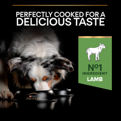 PRO PLAN Medium Adult Sensitive Digestion – Lamb (14kg)