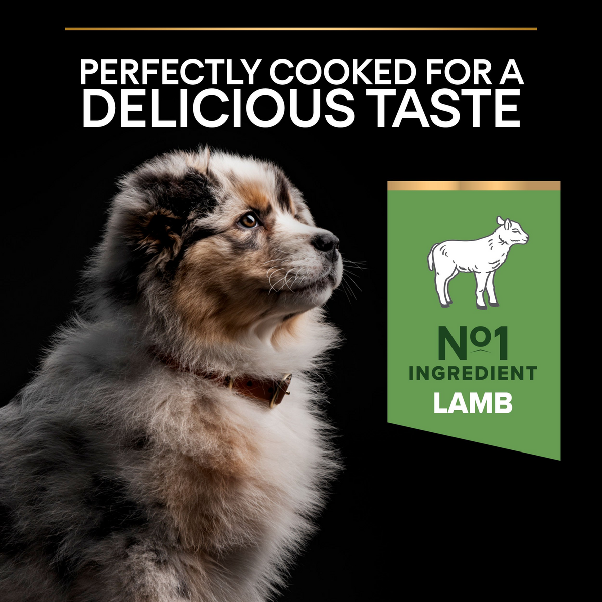 PRO PLAN Medium Puppy Sensitive Digestion – Lamb (3kg)
