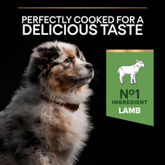 PRO PLAN Medium Puppy Sensitive Digestion – Lamb (3kg)