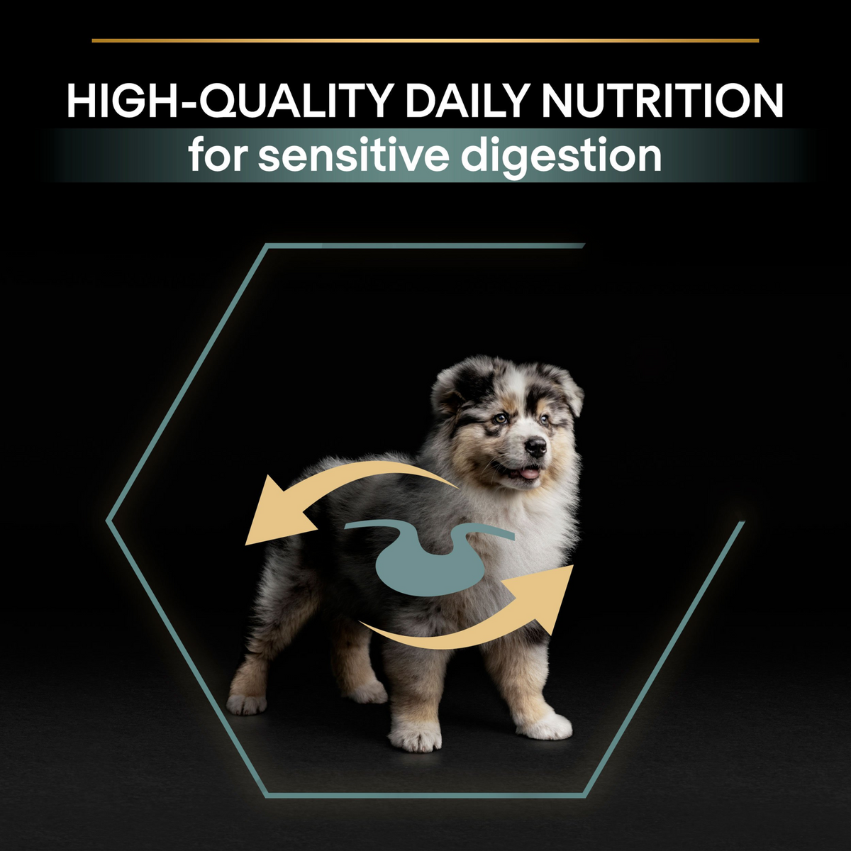 PRO PLAN Medium Puppy Sensitive Digestion – Lamb (3kg)