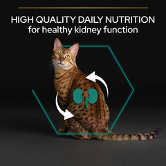 PRO PLAN Adult Cat Renal Plus – Chicken (10kg)