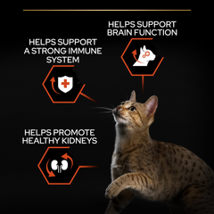 PRO PLAN Adult Cat Vital Functions – Salmon (3kg)
