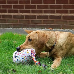 Pawty Time Plush Balloon with Rope