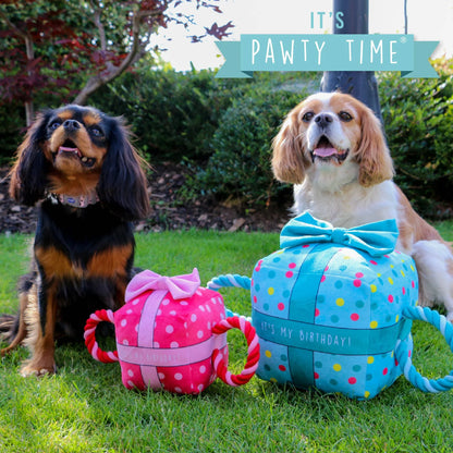 Pawty Time Birthday Toy Large (Blue)