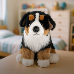 Barry the Bernese