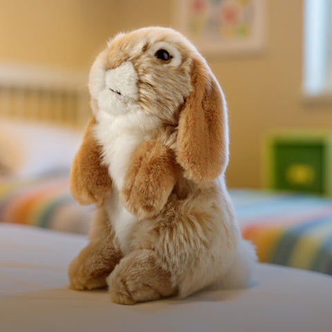 Betty the Brown Lop Eared Rabbit