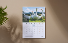Irish Happy Tails Calendar 2026