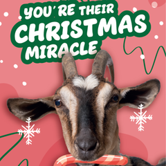 You're Their Christmas Miracle