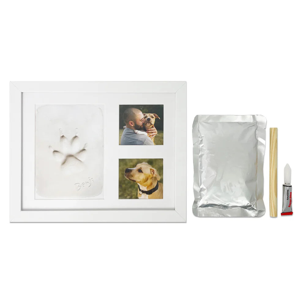 Paws in Time with Photo Frame