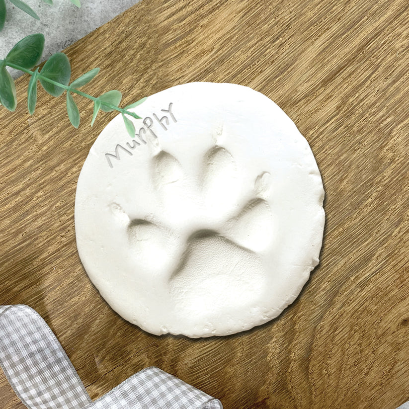 Welcome Home – Puppy & Kitten Keepsake Box