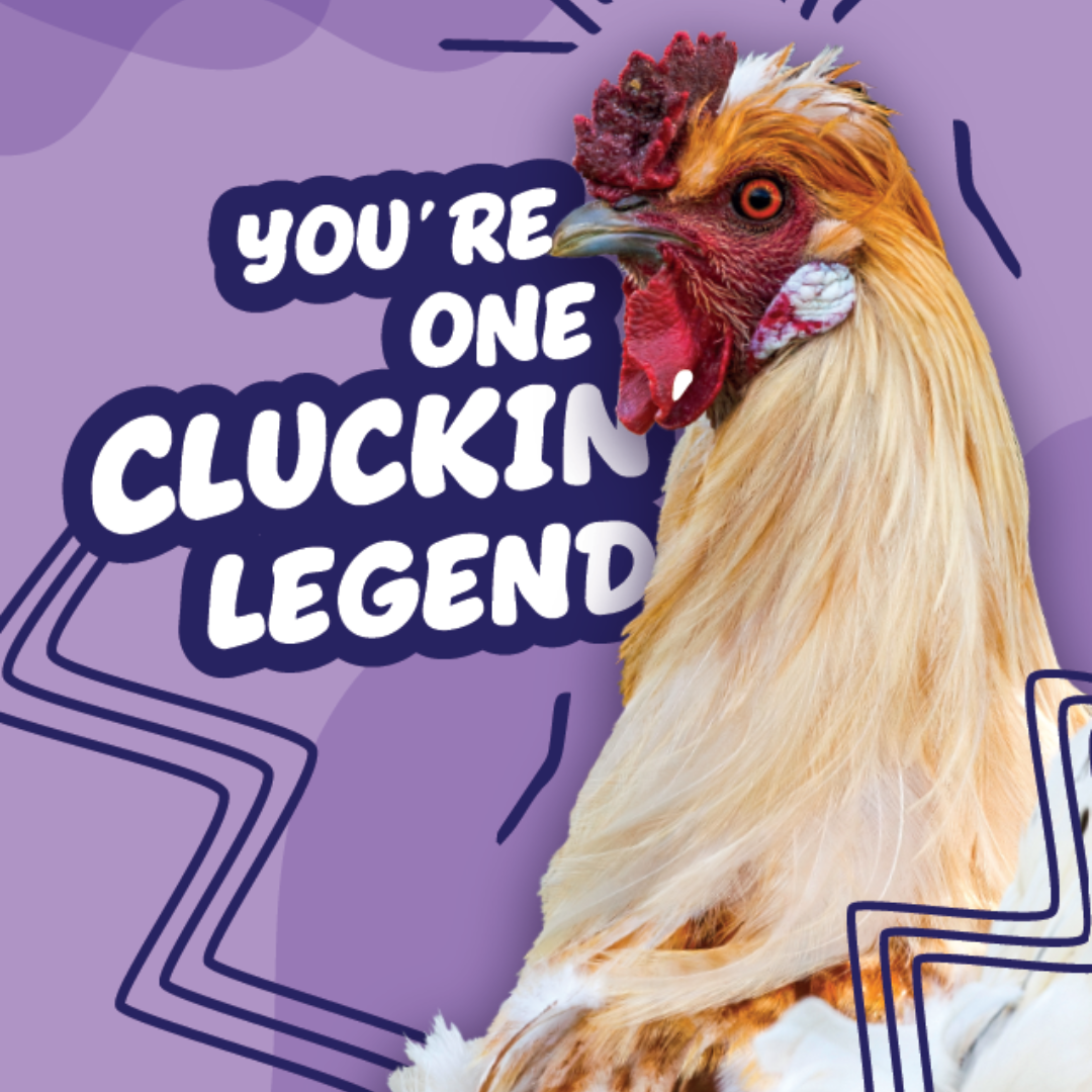 You're One Cluckin' Legend