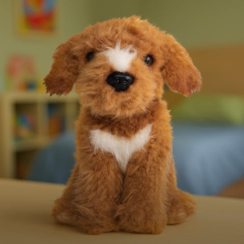 Connie the Cockapoo