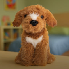 Connie the Cockapoo