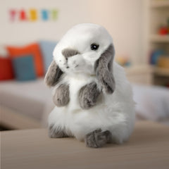 Gary the Grey Lop Eared Rabbit