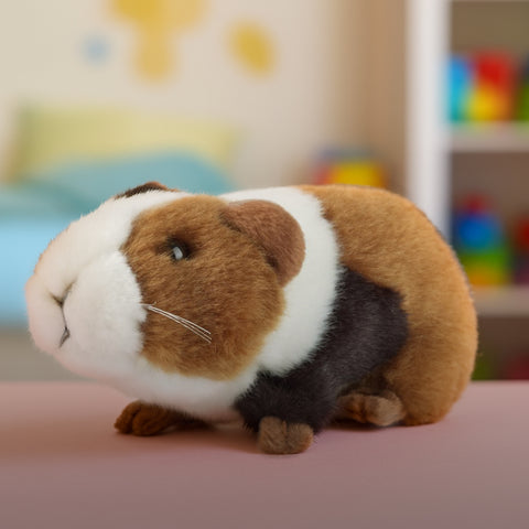 Gina & Grainne the Guinea Pigs