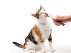Catit Creamy Treats (4PK Strips)