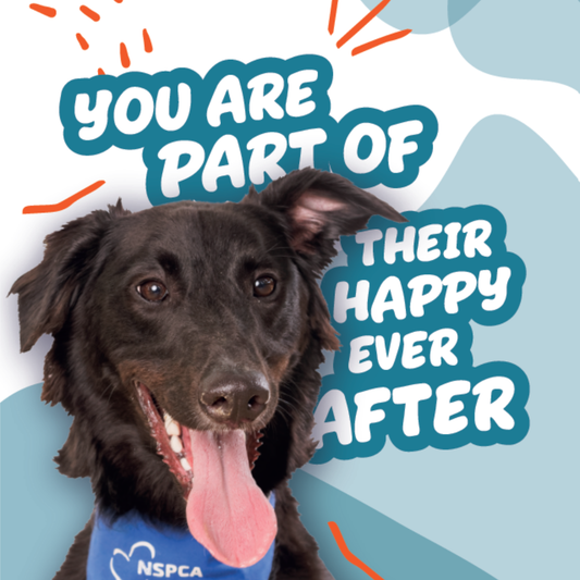 You're Part Of Their Happy Ever After