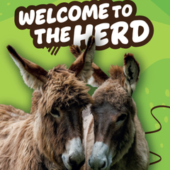 Welcome to the Herd