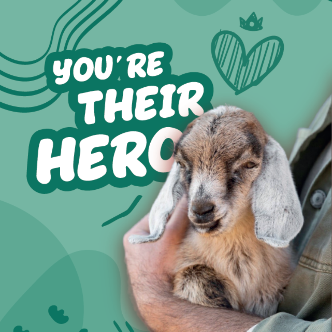 You're Their Hero