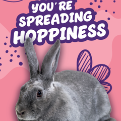 You're Spreading Hoppiness